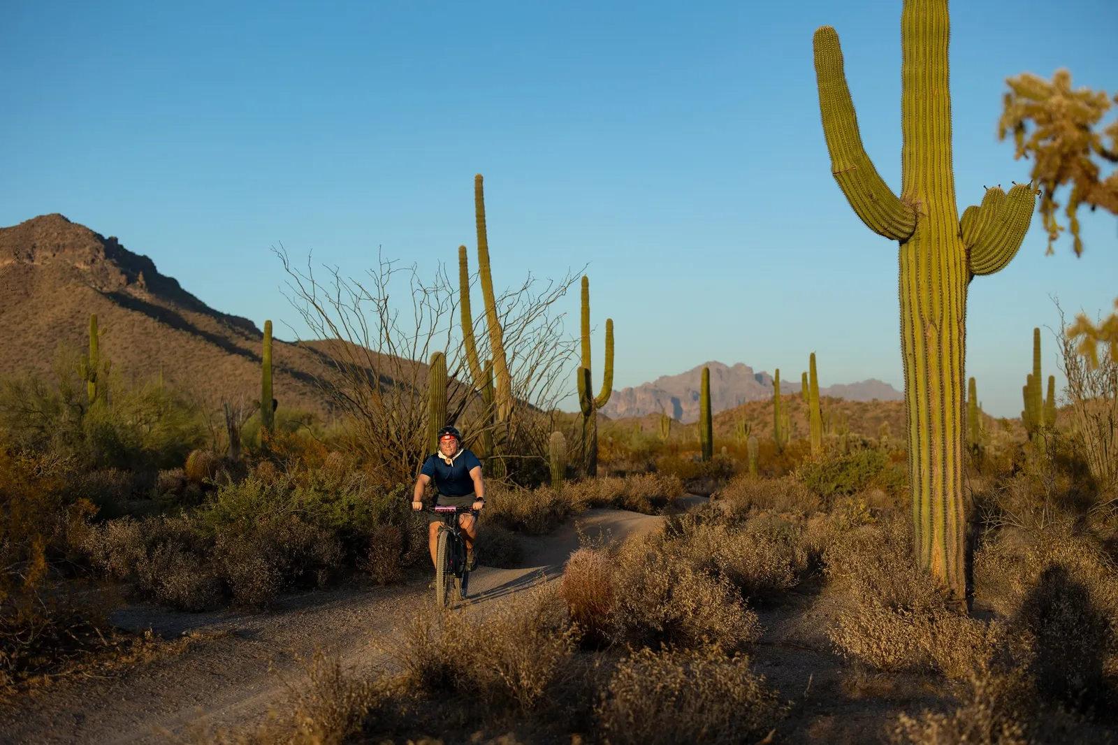 Rider on the Stunner Night Rides loop in Usery Mountain Regional Park