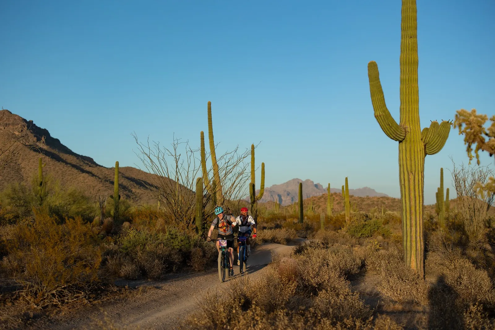 Rider on the Stunner Night Rides loop in Usery Mountain Regional Park
