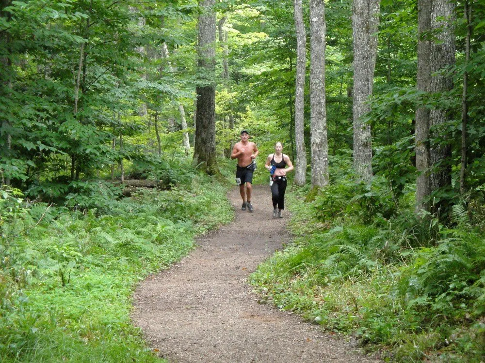 Runners on wooded singletrack