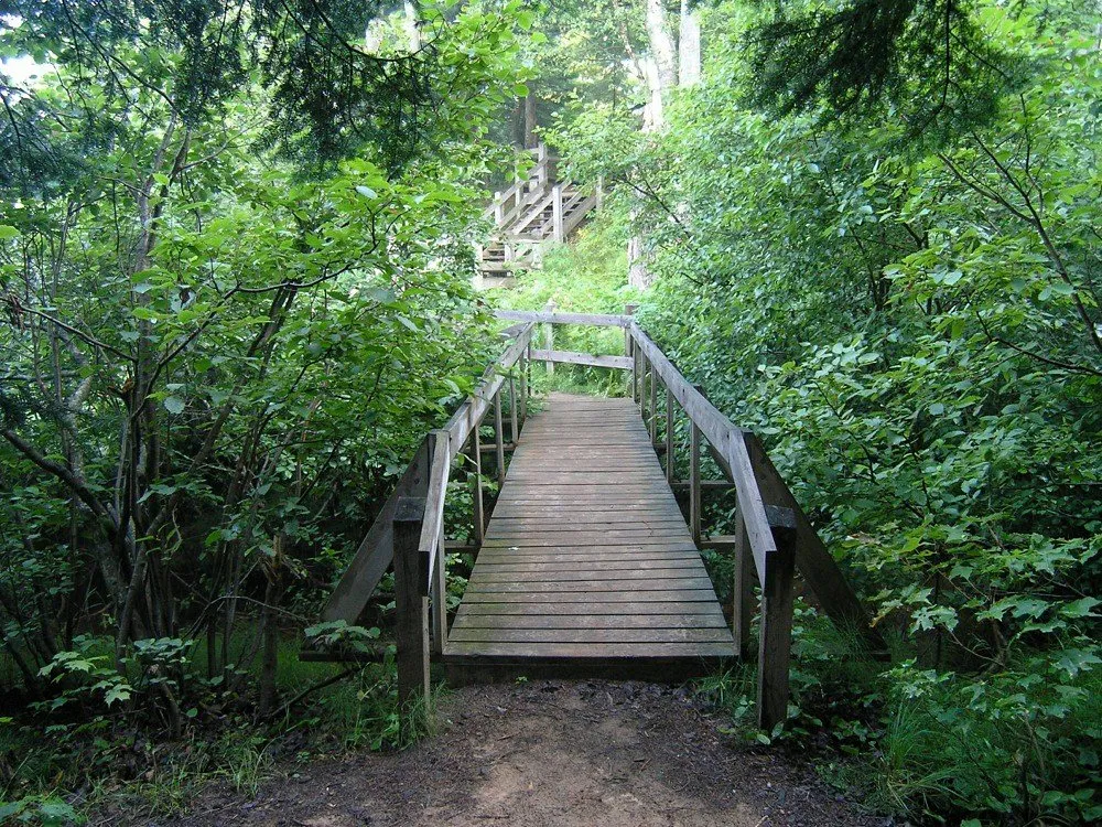 A wooden footbridge on the course