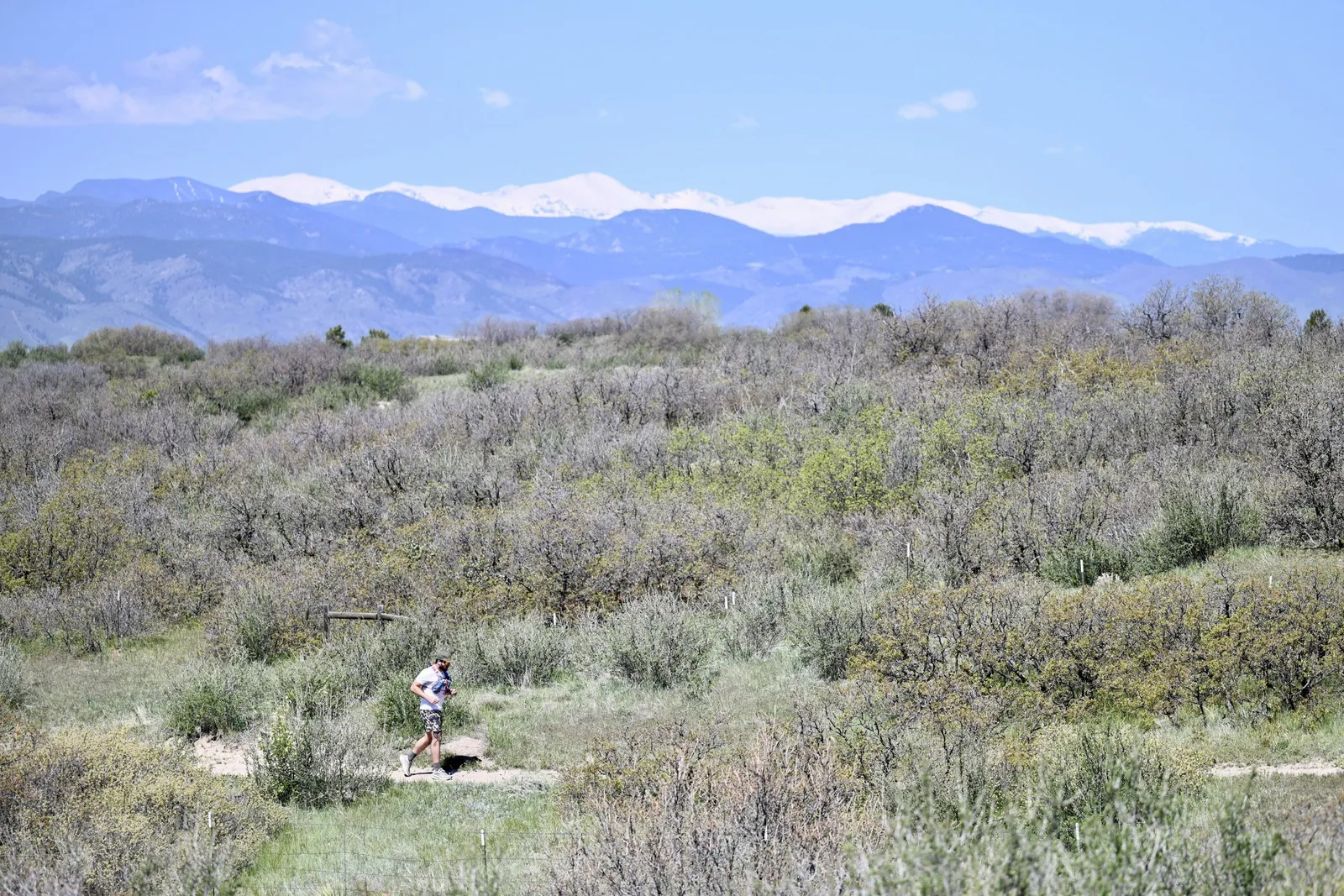 The snow-capped Front Range over the brush