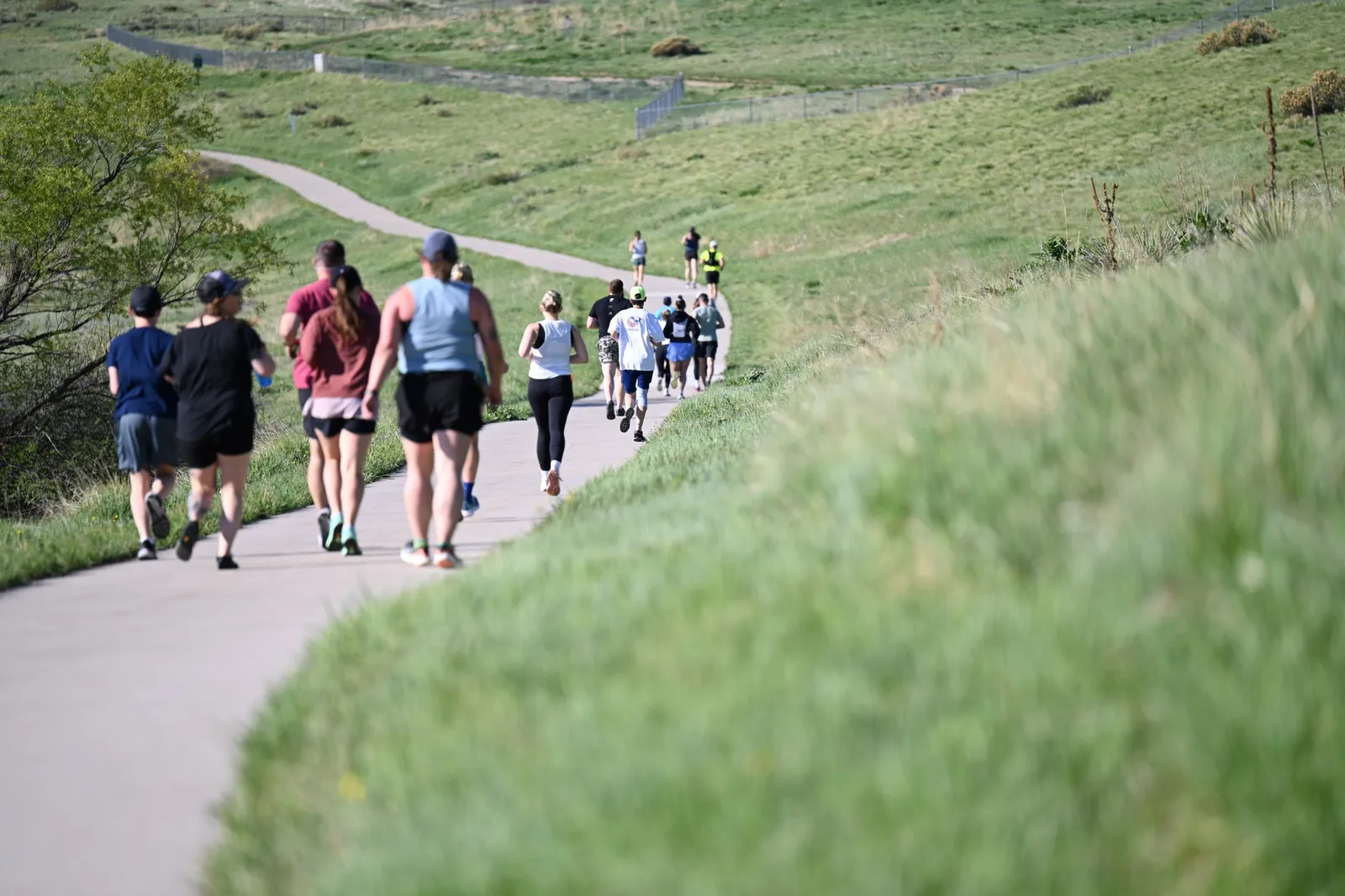 A long line of runners on a grassy hillside