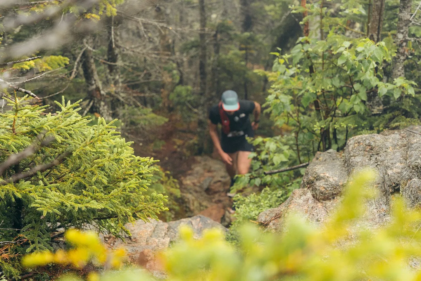 Runner scrambling up through the brush