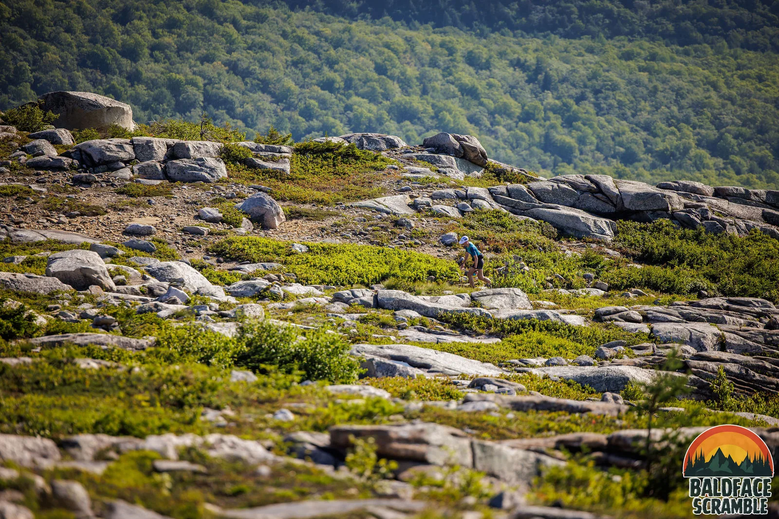 Open granite and alpine scrub on the Baldfaces