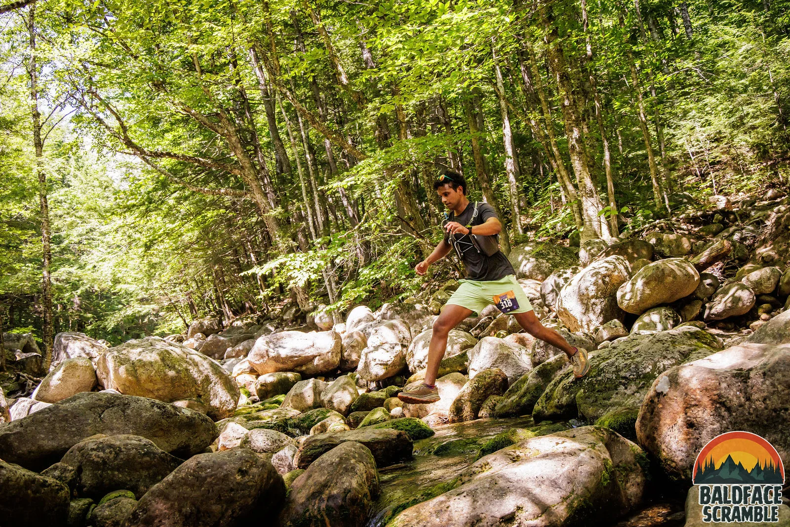 Rock hopping through the forest