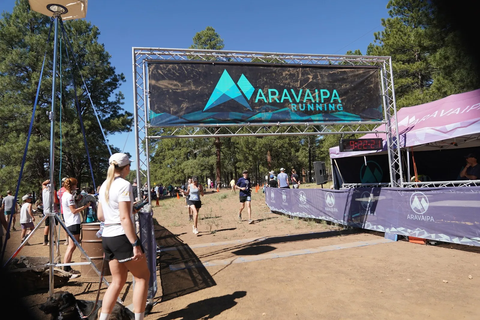 Runners spread out before the Big Pine Trail Runs finish line in the Flagstaff ponderosa pines