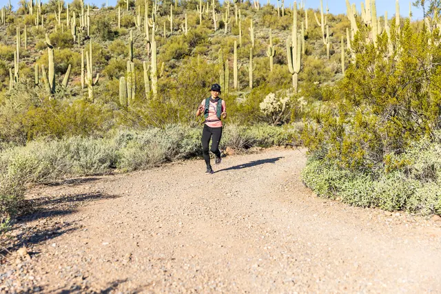 Saguaro country at Elephant Mountain